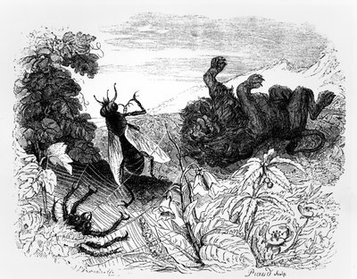 O Leão e o Mosquito, ilustração para &39;Fábulas&39; de La Fontaine, publicado por H. Fournier Aine, 1838 de Grandville
